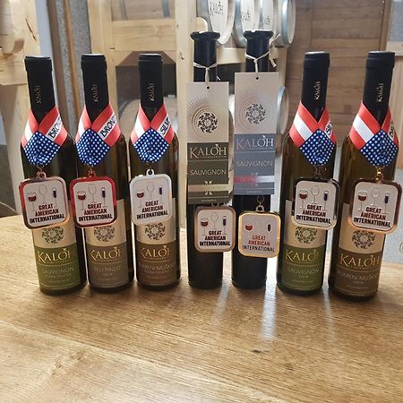 Вилла Wine House Kaloh Марибор Экстерьер фото
