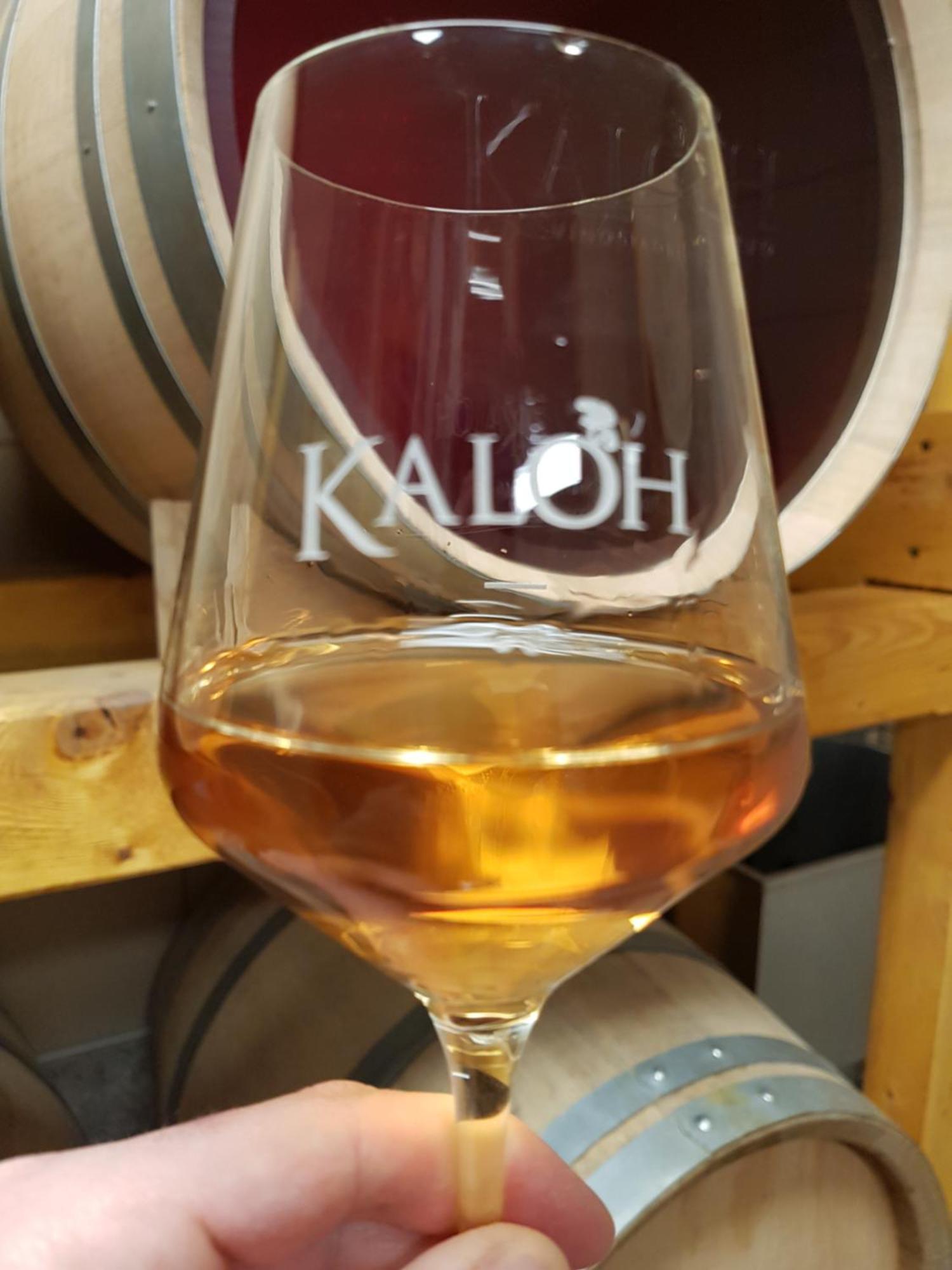 Вилла Wine House Kaloh Марибор Экстерьер фото