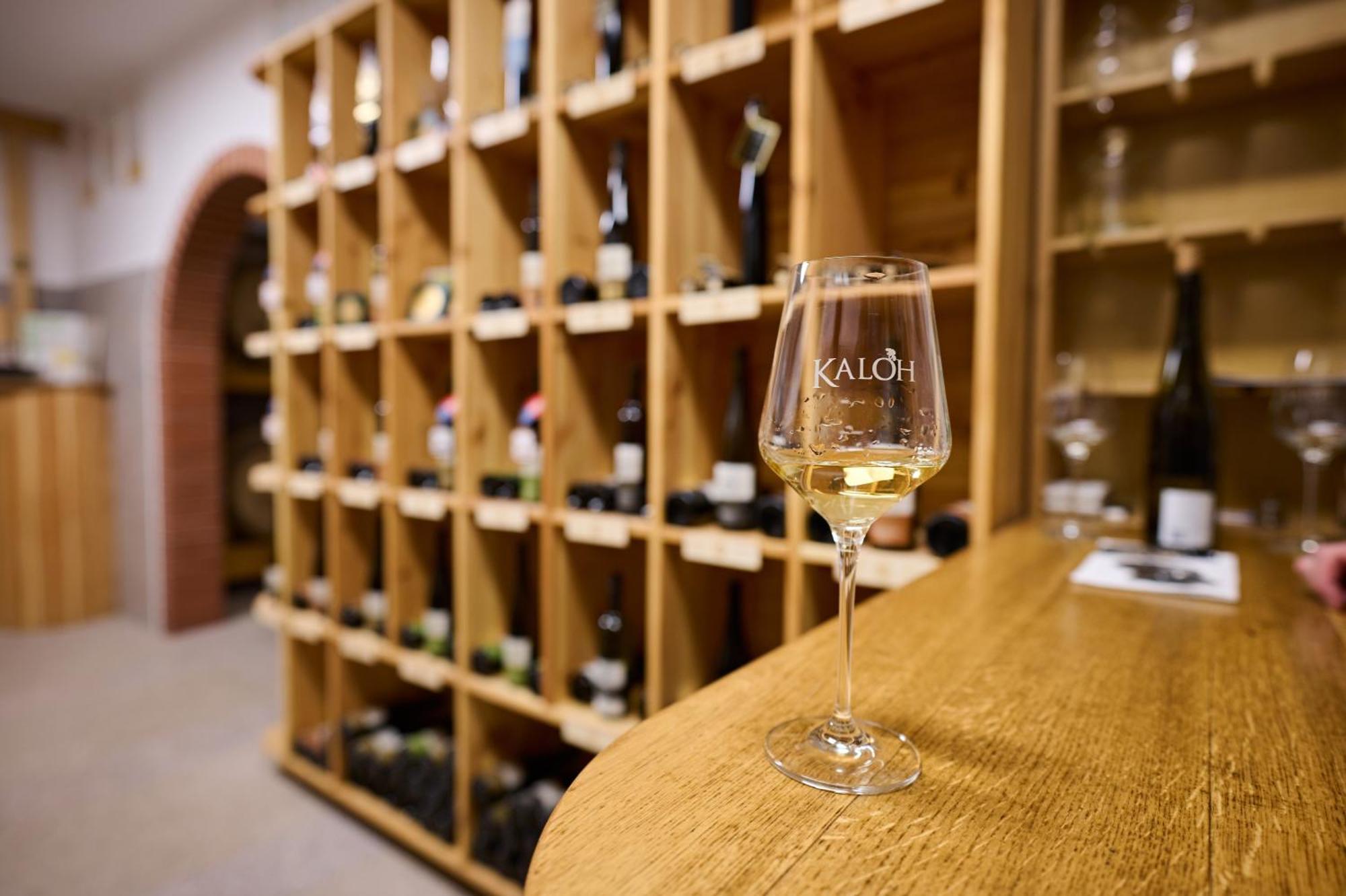 Вилла Wine House Kaloh Марибор Экстерьер фото