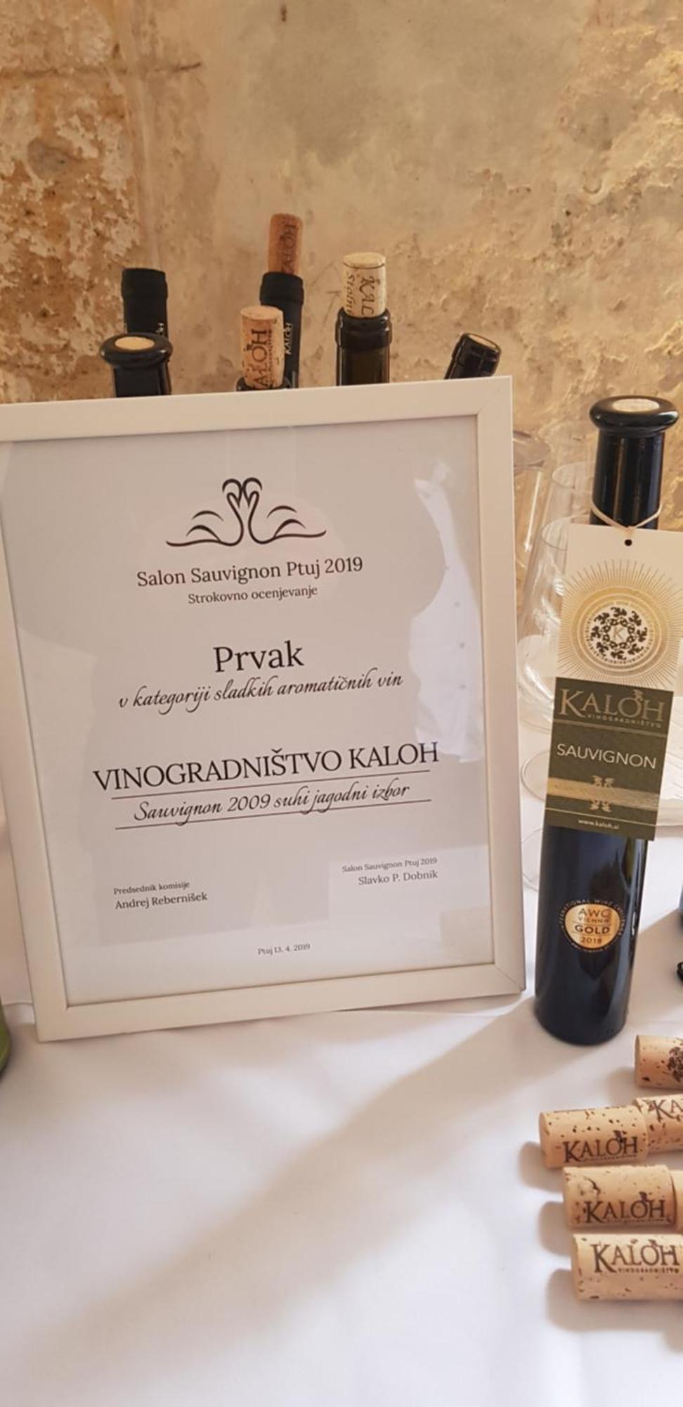 Вилла Wine House Kaloh Марибор Экстерьер фото