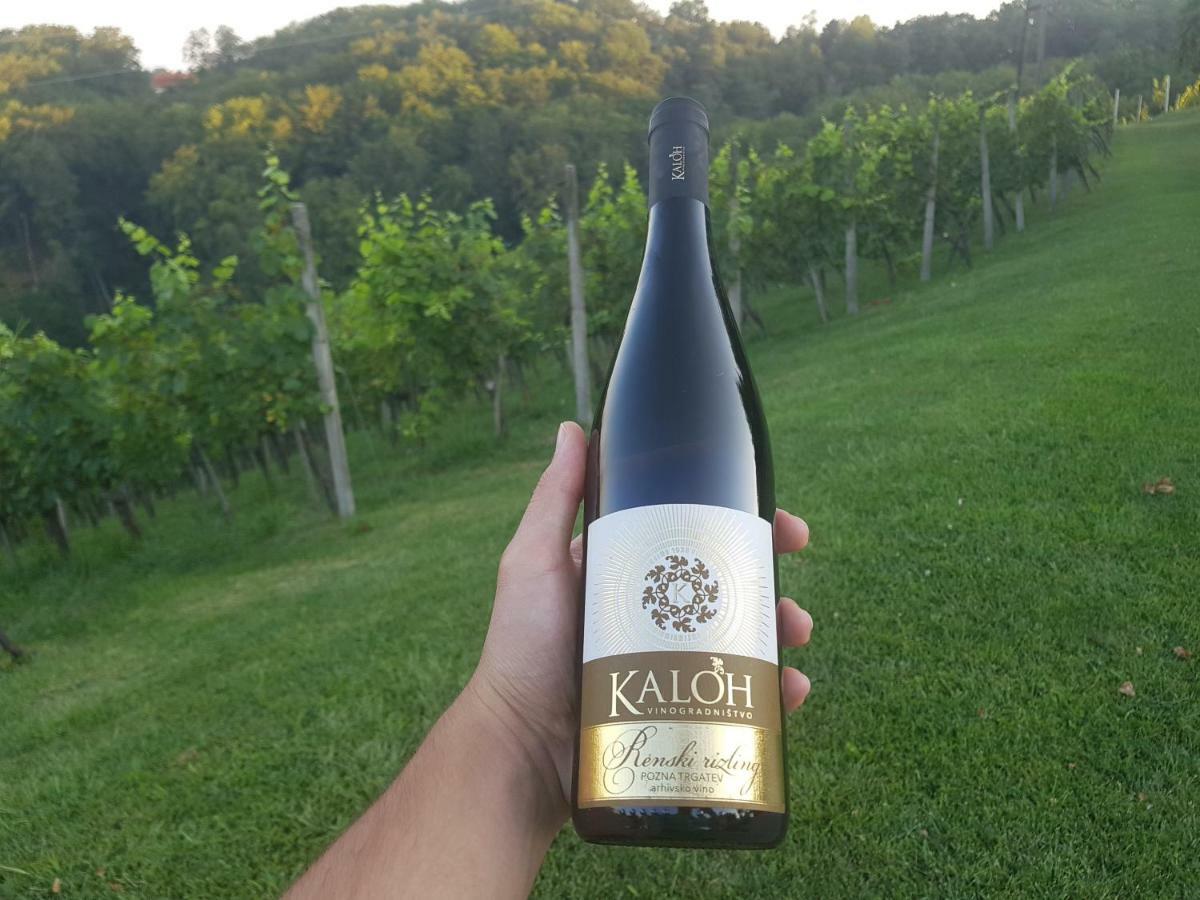 Вилла Wine House Kaloh Марибор Экстерьер фото